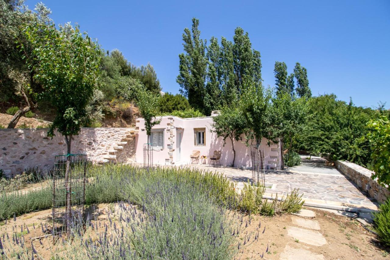 Serenity Village Apérathos Exterior photo